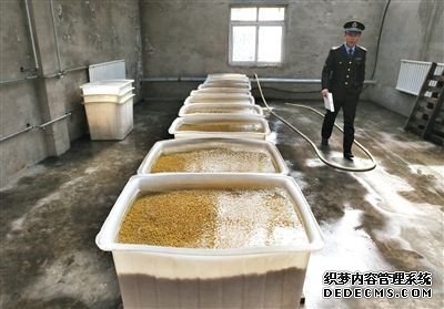 “基地”的豆芽車間內浸泡著大量黃豆，執(zhí)法人員正在現(xiàn)場勘查。