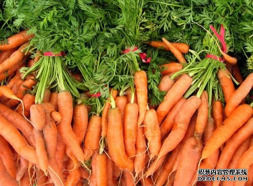盤點七類清腸食物 掃光身體內積攢垃圾