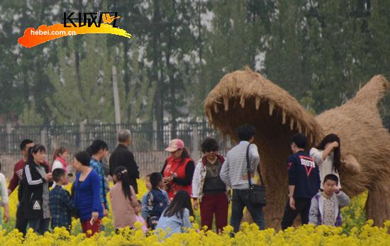 個性的稻草人歡樂區(qū)引游客觀賞。扈煒 攝