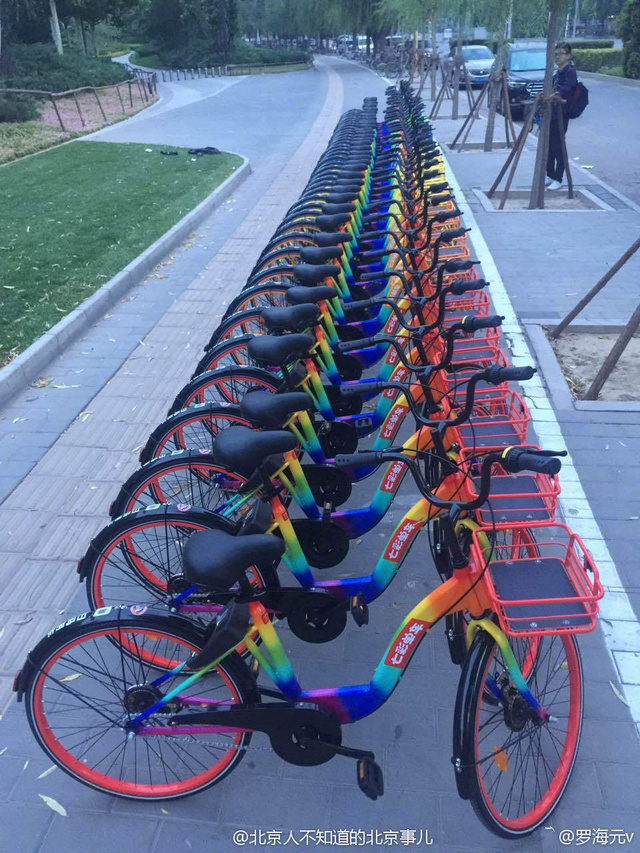 圖為彩虹單車。