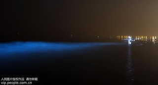 2017年9月17日凌晨，在河北省秦皇島市金夢(mèng)海灣浴場(chǎng)拍攝的“熒光?！?。